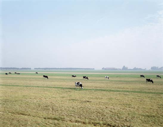 Hans Aarsman